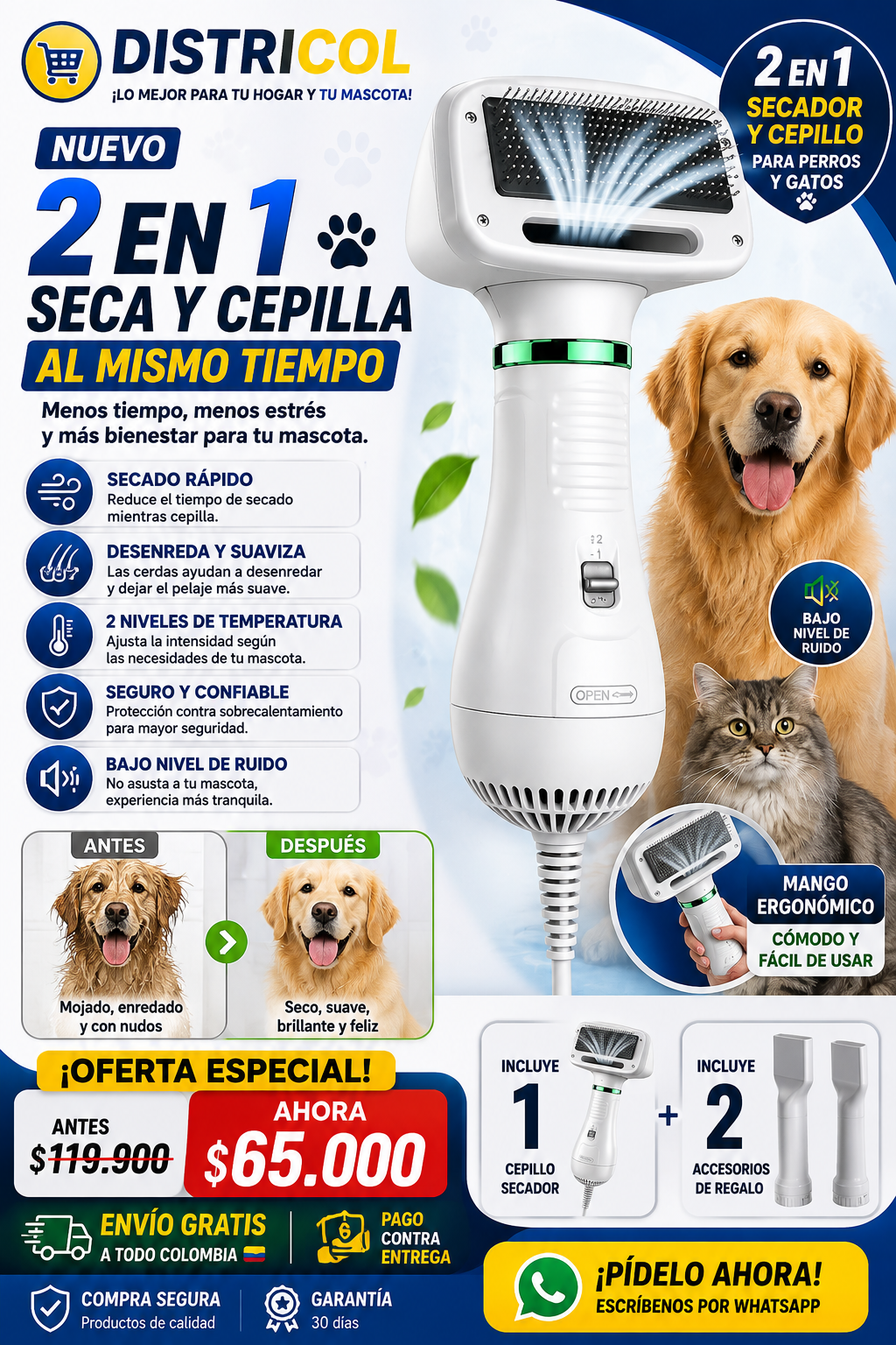 2 en 1 Seca y Cepilla al mismo tiempo