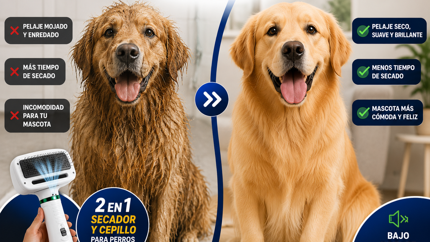 Secador y Cepillo 2 en 1 - Oferta especial $65.000